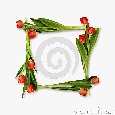 Red tulip flowers frame Stock Photo