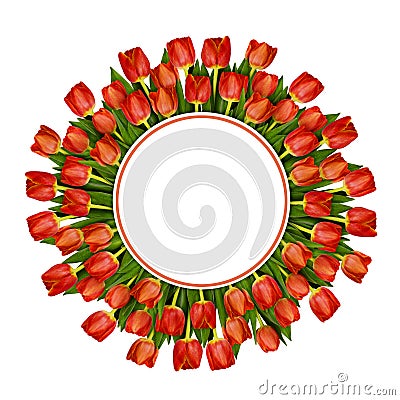 Red tulip flowers frame Stock Photo