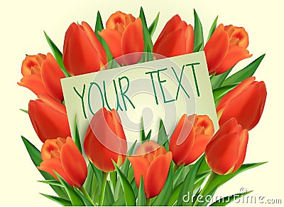 Red tulip flowers with paper card Vector Illustration