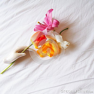 Red tulip and lillies with a white hand Stock Photo