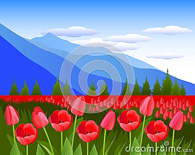 Red tulips against the background of mountains. Vector Illustration