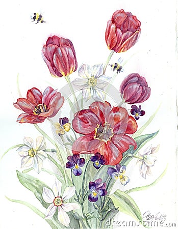 Red tulips, white daffodils and violet pansies Stock Photo