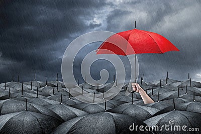 Red umbrella concept Stock Photo