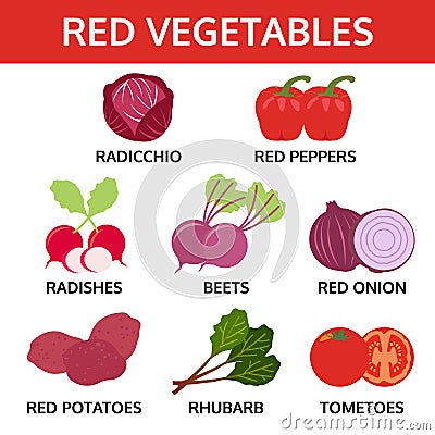 Red vegetables collection, food vector illustration Vector Illustration