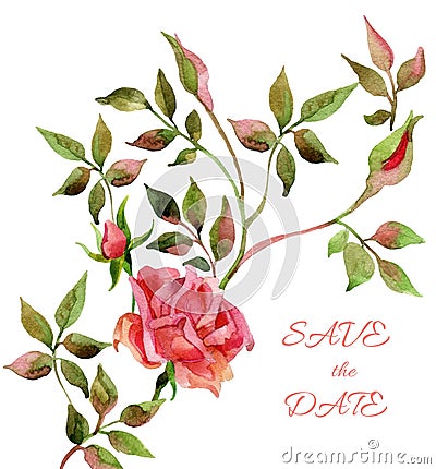 Red watercolor roses card Cartoon Illustration