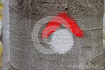 Red and whit hike path symbol painted on tree bark 2 Stock Photo