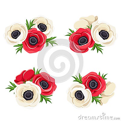 Red and white anemone flowers. Vector illustration. Vector Illustration