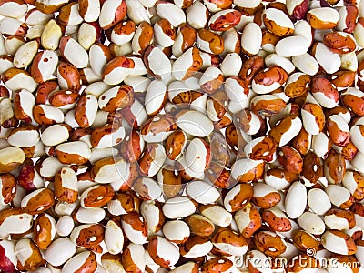 Red-White beans Stock Photo