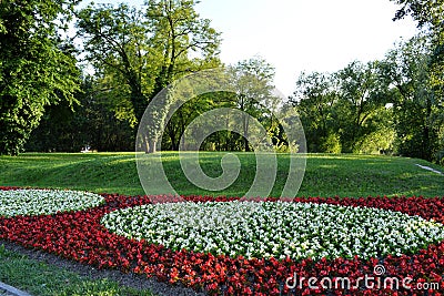Red and white begonia flowers in Bundek park, Zagreb, Croatia Stock Photo