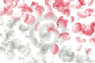 Red White Blood Cells Stock Photo