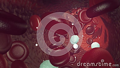 Red and white blood cells flowing trough blood stream Stock Photo