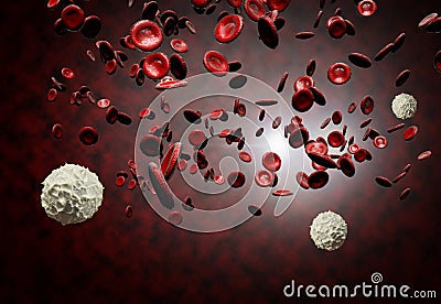 Red and White Blood Cells Stock Photo