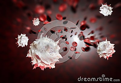 Red White Blood Cells Stock Photo