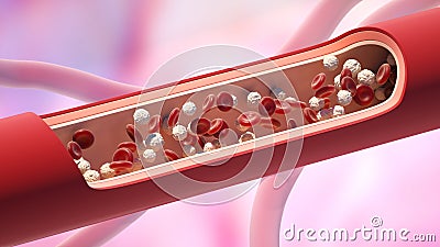 Red and white blood cells in the vein. Leukocyte high level Cartoon Illustration