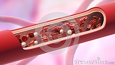 Red and white blood cells in the vein. Leukocyte normal level Cartoon Illustration