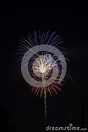 Red, white and blue fireworks against a black sky Stock Photo