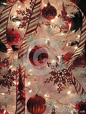 Candycane tree Stock Photo