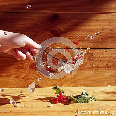 Red and white currant drinks recipes with fresh mint. a cup of splash of water and berries of red and white currant in Stock Photo