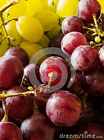 Red and white grapes Stock Photo