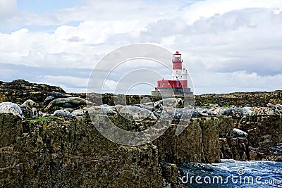 Red And White Lighthouse, Seals On Rocks Editorial Stock Photo