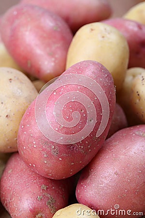 Red and white organic potatoes Stock Photo