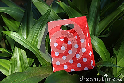 Red and white polka dot gift container Stock Photo