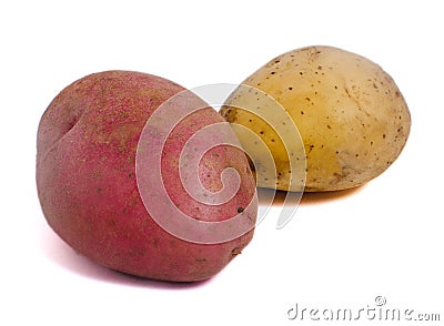 Red and white potato Stock Photo