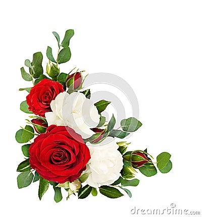 Red and white rose flowers with eucalyptus leaves in a corner ar Stock Photo