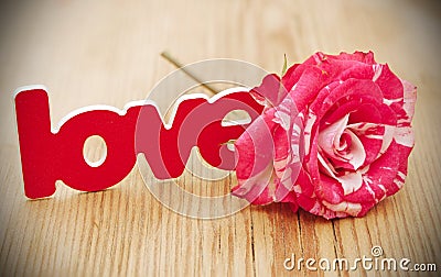 Red-white rose and scattered flower petals and the word love on Stock Photo