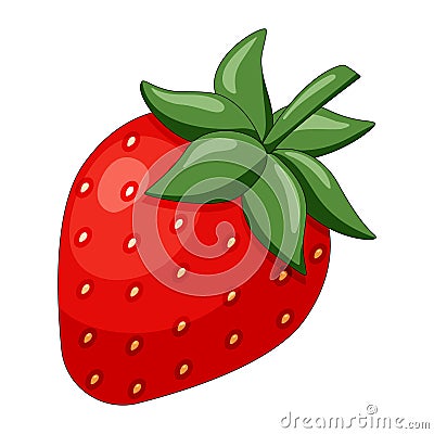 Red whole strawberry vector illustration Vector Illustration
