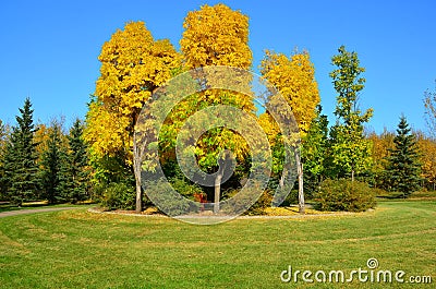 Red Willow Trail, St Albert, Western Canada Stock Photo