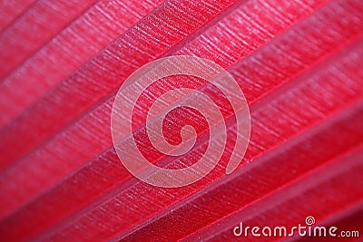 Red window curtains close up abstract background big size high quality instant downloads prints stock photography Stock Photo