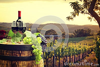 Red wine with barrel on vineyard in green Tuscany Stock Photo