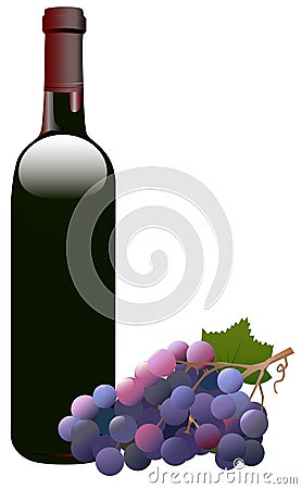 Red Wine Bottle & Grapes Vector Illustration