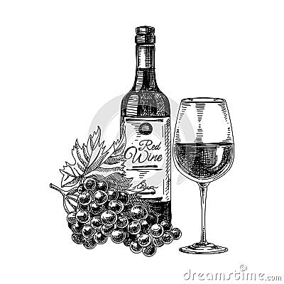 Red wine: composition with bottle, wineglass and bunch of grapes, hand drawn vector illustration. Vector Illustration