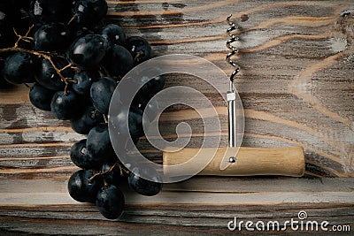 Red wine and grapes Stock Photo