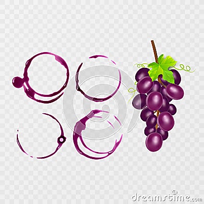 Red wine stains. Traces wine splashes set. Vector illustration Stock Photo