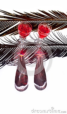Red wine white glasses background light shadow tropical leaves Stock Photo