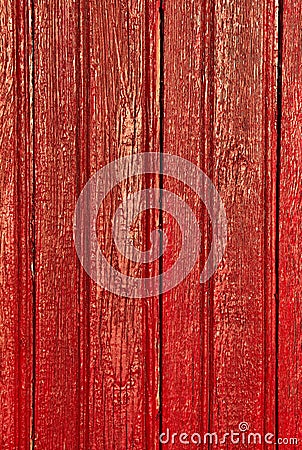 Red wood Stock Photo