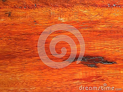 Red wood exists in many species of nature Stock Photo