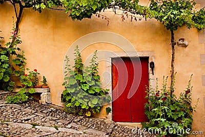 Red Wooden Door Flanked by Green Plants Stock Photo