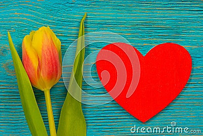 Red wooden heart and yellow tulip on turquoise rustic planks Stock Photo