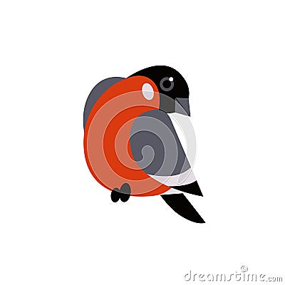 Red Xmas bird. Bullfinch vector illustration Vector Illustration