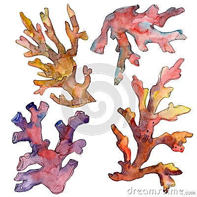 Red and yellow aquatic underwater nature coral reef. Watercolor background set. Isolated coral illustration element. Cartoon Illustration