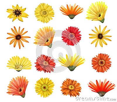 Red and yellow asters and gerber flowers buttons set Stock Photo