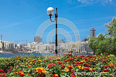 Red and Yellow flowers in front of the sea Stock Photo