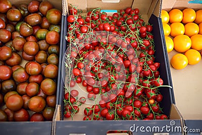 Red and yellow homegrown tomatoes and cherry on local farmer agricultural market or supermarket. Healthy vegetarian food. Storage Stock Photo