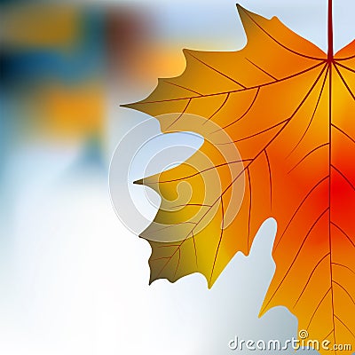 Red yellow maple autumnal background Vector Illustration