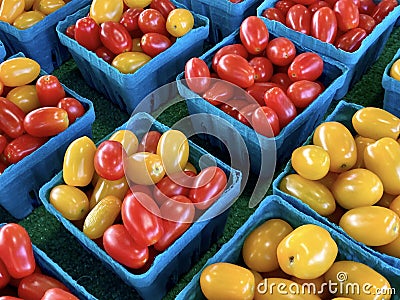 Red and Yellow Oval Cherry Tomatoes Stock Photo