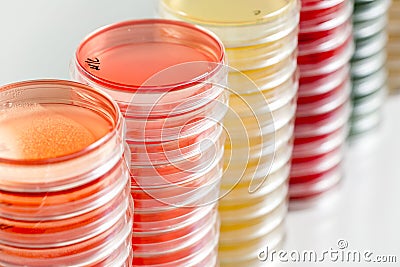 Red and yellow petri dishes stacks in microbiology lab on the bacteriology laboratory background. Stock Photo